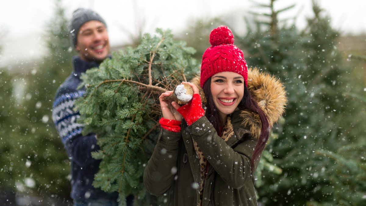 Ein Paar möchte einen Weihnachtsbaum aufstellen.