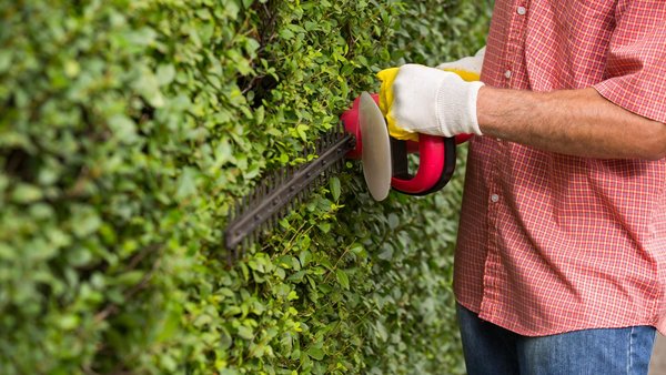 Wann ist es verboten die Hecke zu schneiden?