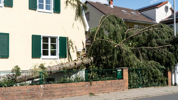 Ein Haus mit einem Sturmschaden durch Baum